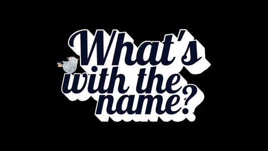 🌟 What's with the name? 🌟